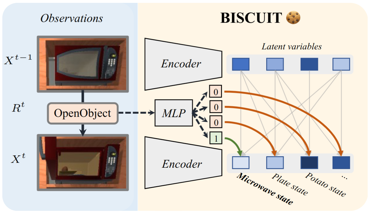 BISCUIT: Causal Representation Learning from Binary Interactions