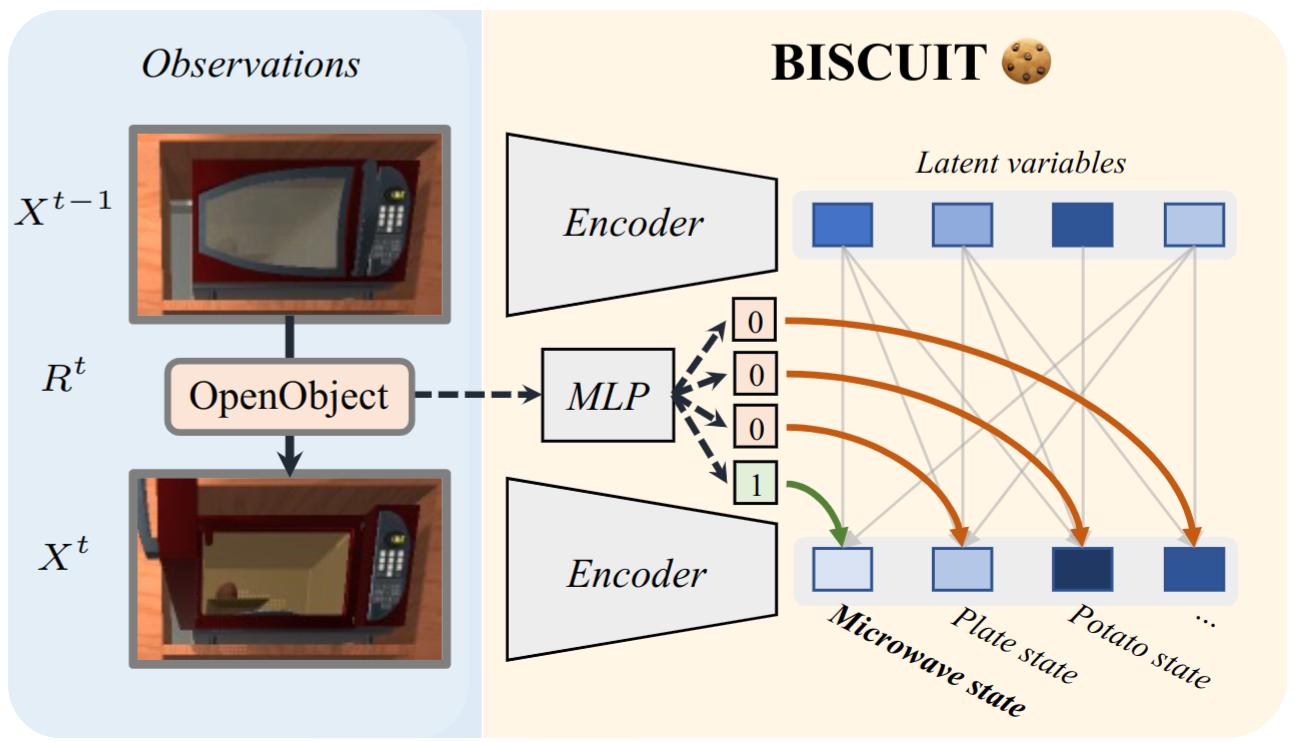 Biscuit causal representation learning from binary interactions