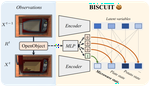 BISCUIT - Causal Representation Learning from Binary Interactions